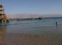 Dolphin Reef Eilat 